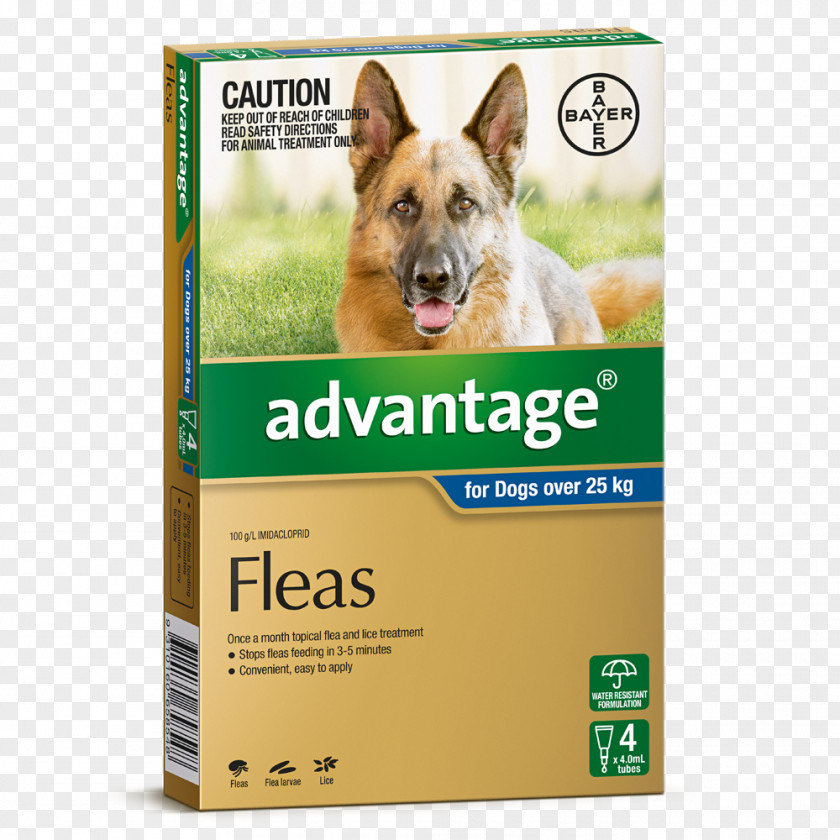 Dog Flea Treatments Puppy Pet Veterinarian PNG