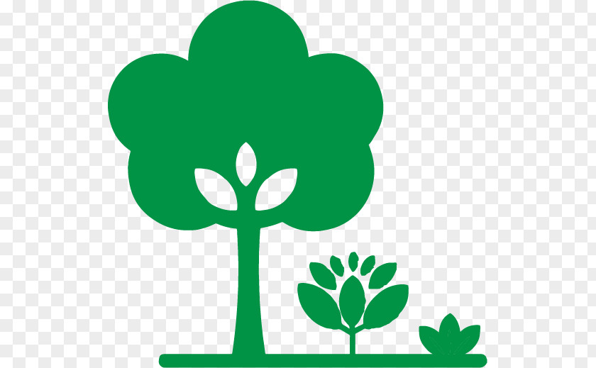 Plant Stem Tree Green Leaf Symbol PNG