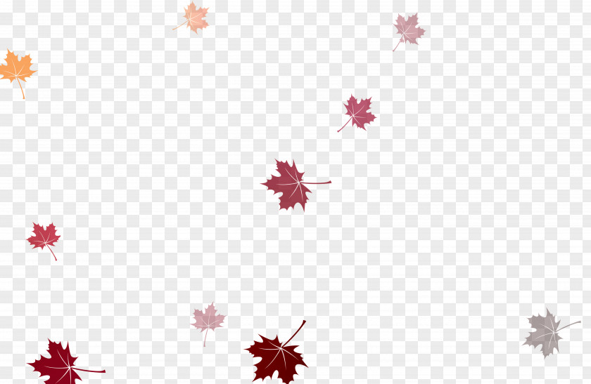Red Maple Leaf Floating Material Kolkata Image Resolution Wallpaper PNG