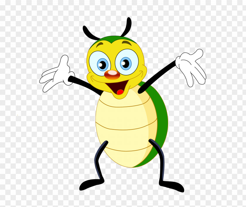 Bugs Beetle Clip Art PNG