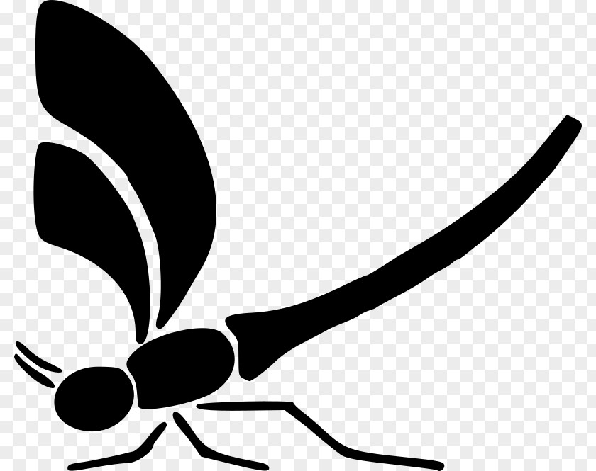 Dragonfly Clip Art PNG