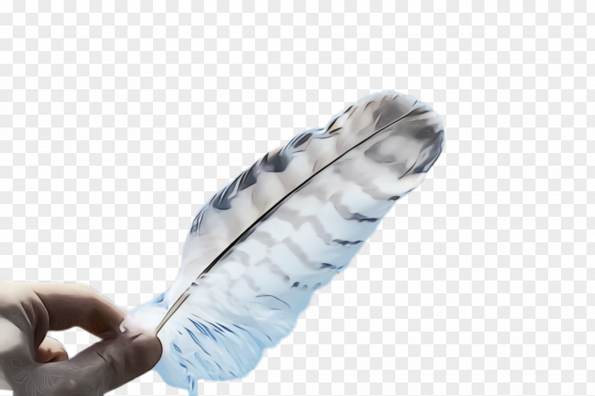 Fashion Accessory Writing Implement Feather PNG