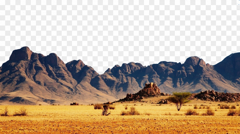 Gobi Desert Otjiwarongo Etosha National Park Namib Safari Lodge PNG