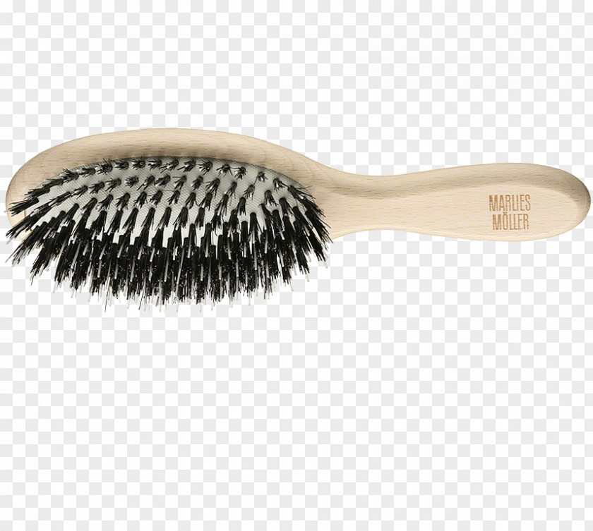 Hair Accessory Eyelash Make-Up Brushes Design Cosmetics PNG