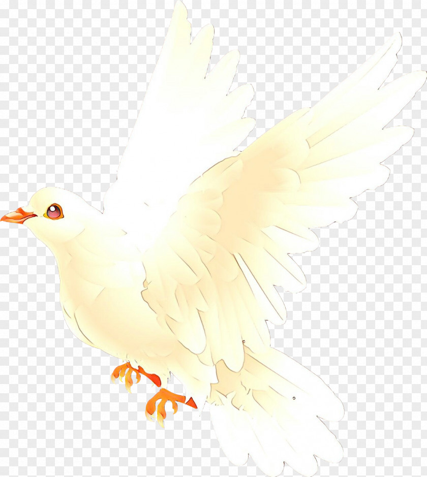 Peace Tail Chicken Cartoon PNG