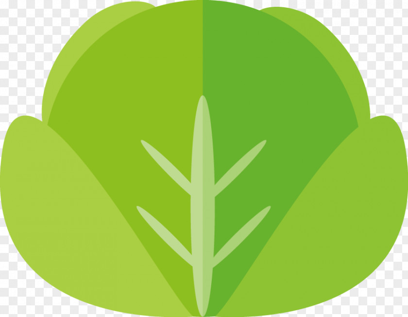 Vector PPT Creative Design Icon Cabbage Vegetable Bok Choy PNG