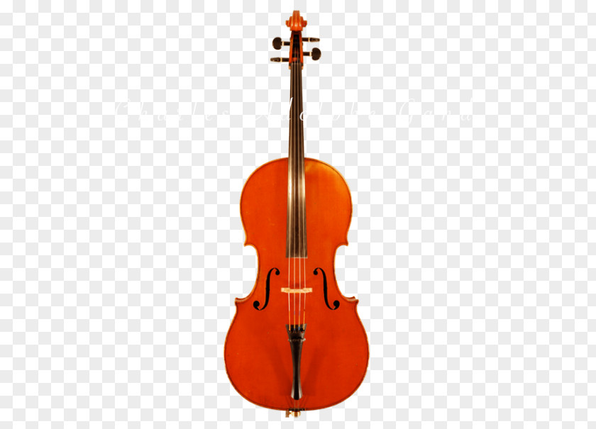 Violin String Instruments Bow Musical PNG