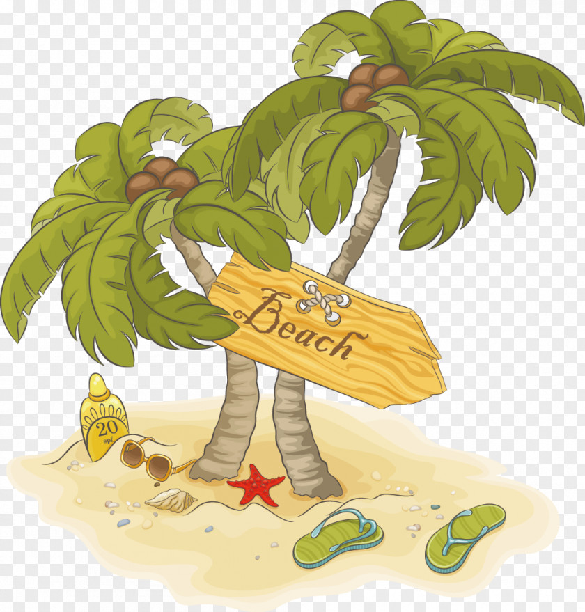 Beach Arecaceae Clip Art PNG