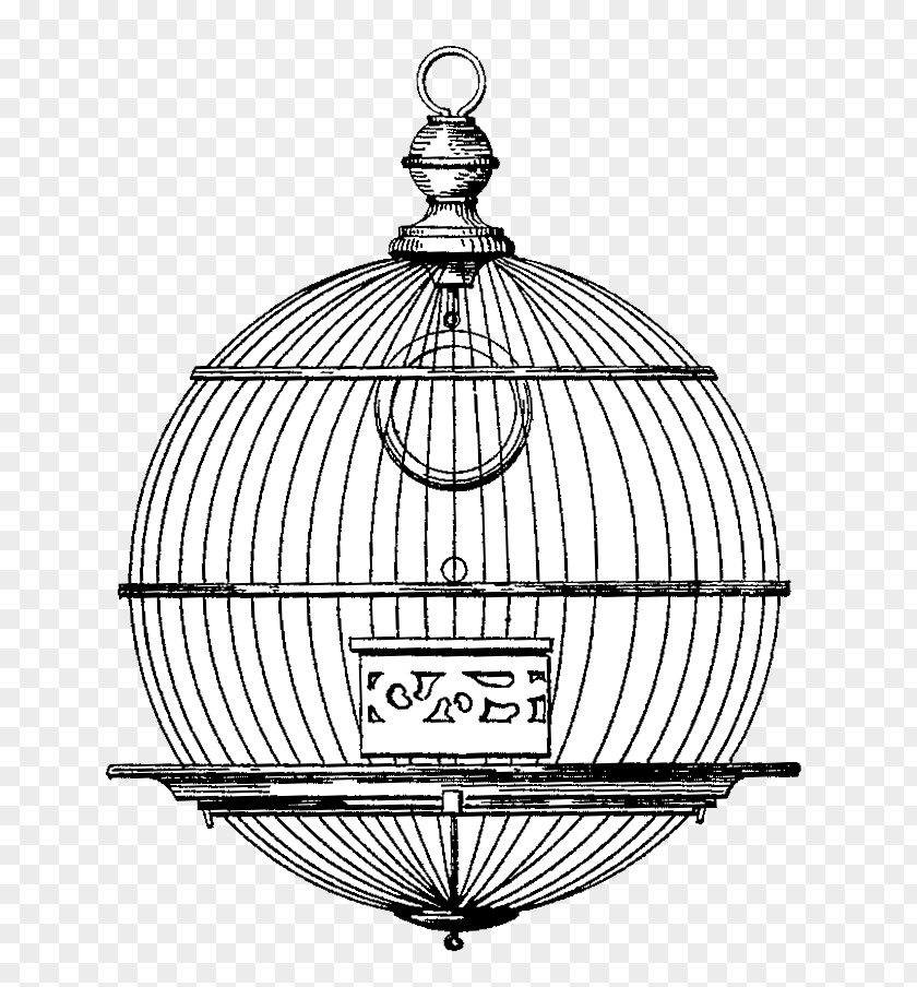Birdcage Drawing PNG