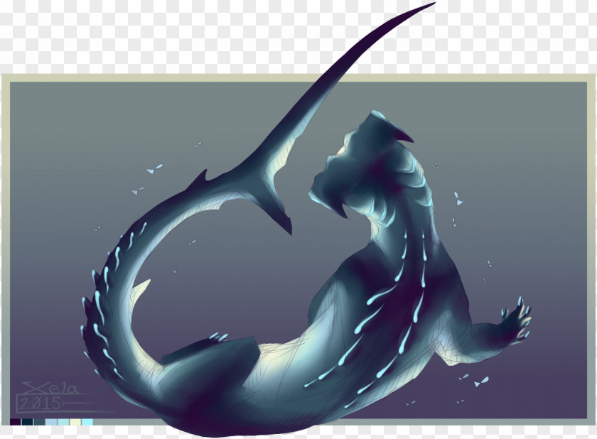 Dolphin Dragon Shark Marine Biology Desktop Wallpaper PNG