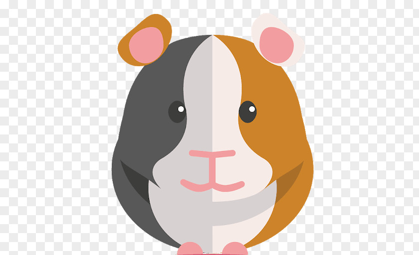 Guinea Pig Care Hamster Mouse PNG