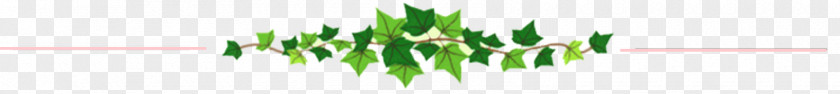 Leaf Wheatgrass Desktop Wallpaper Close-up Plant Stem PNG