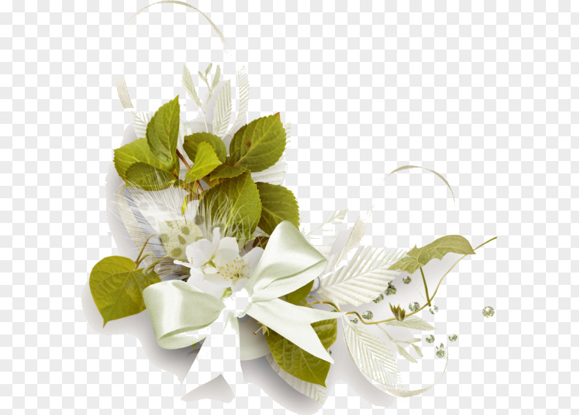 Mock Orange Anthurium Flowers Background PNG