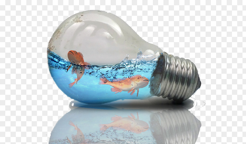 Aquarium Creative Lamp Light Photo Manipulation Tutorial Water PNG