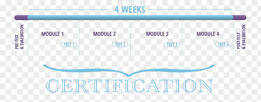 Class Schedule Product Design Logo Document Web Analytics PNG