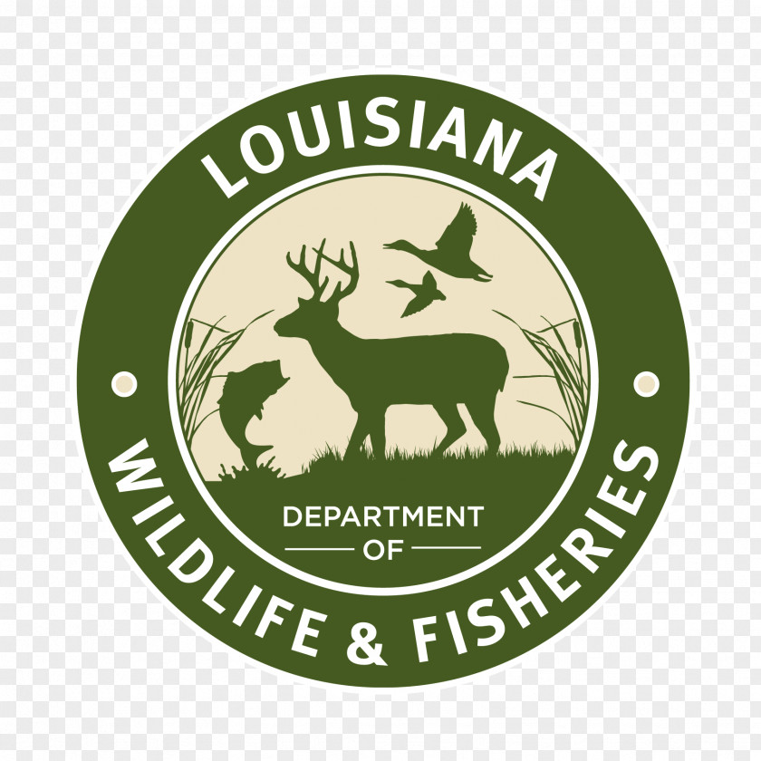 Fishing Louisiana Department Of Wildlife And Fisheries Venice Hunting License PNG