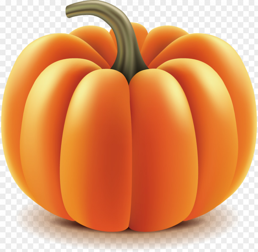 Pumpkin Photography Royalty-free Photorealism Illustration PNG