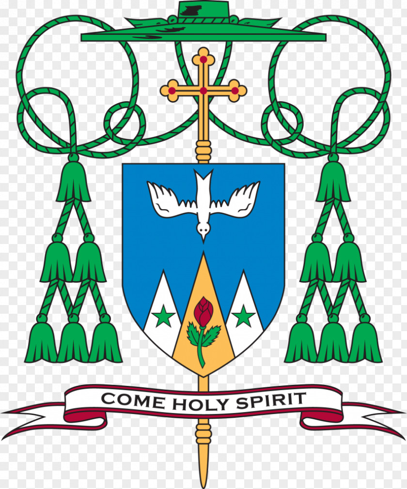 Roman Catholic Archdiocese Of Atlanta Diocese Belleville Bishop Church PNG