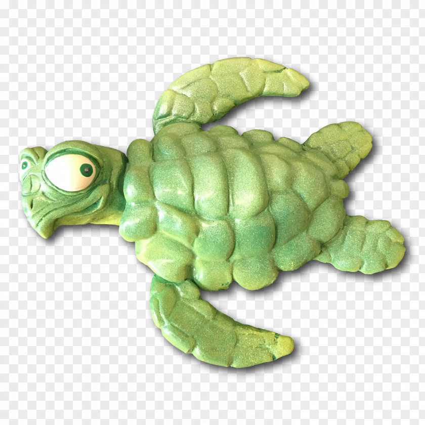 Turtle Green Sea Tortoise Flipper PNG