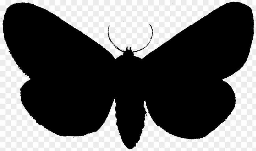 Brush-footed Butterflies Moth Clip Art Black Silhouette PNG