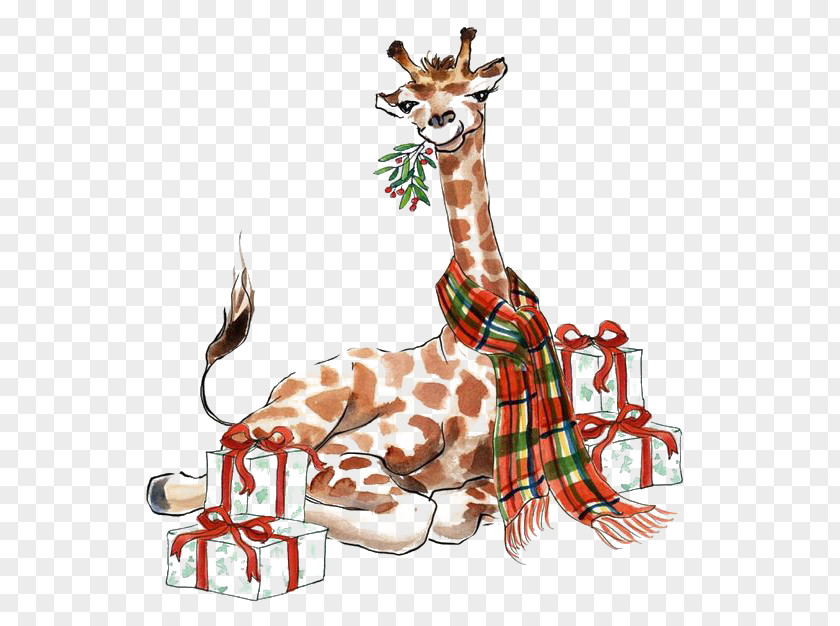 Christmas Giraffe PNG giraffe clipart PNG