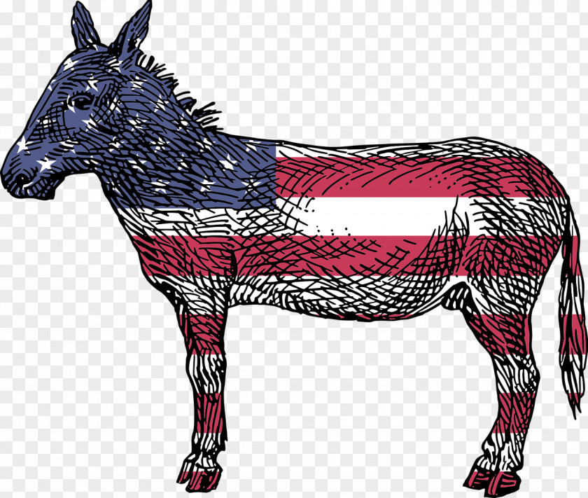 Donkey Reasons To Vote For Democrats: A Comprehensive Guide United States Amazon.com Democratic Party Book PNG