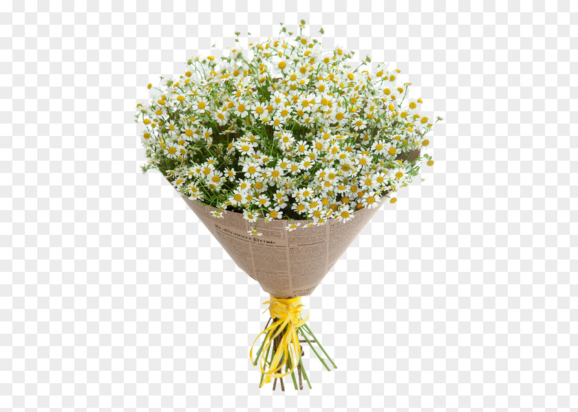 Flower Cut Flowers Bouquet German Chamomile PNG