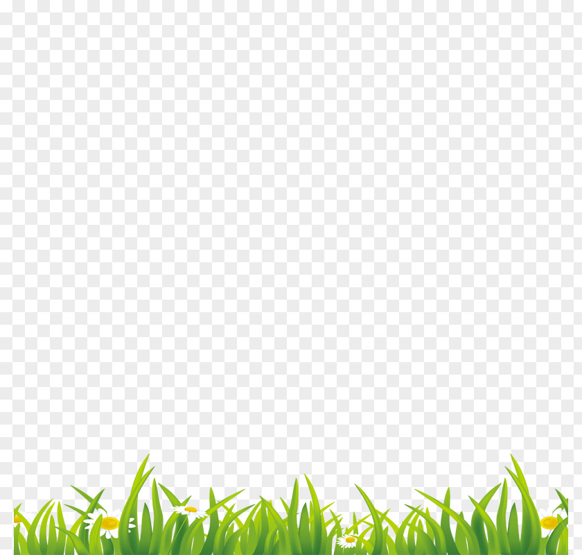 Grass Drawing Adult PNG