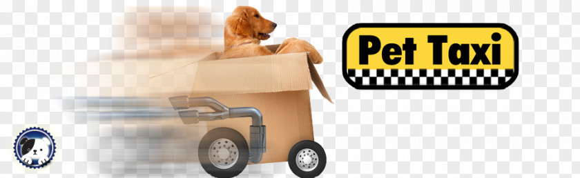 Late Hours Pet Taxi Sitting Cat PNG