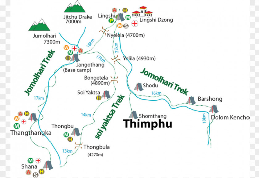 Map Tree Line Tuberculosis PNG