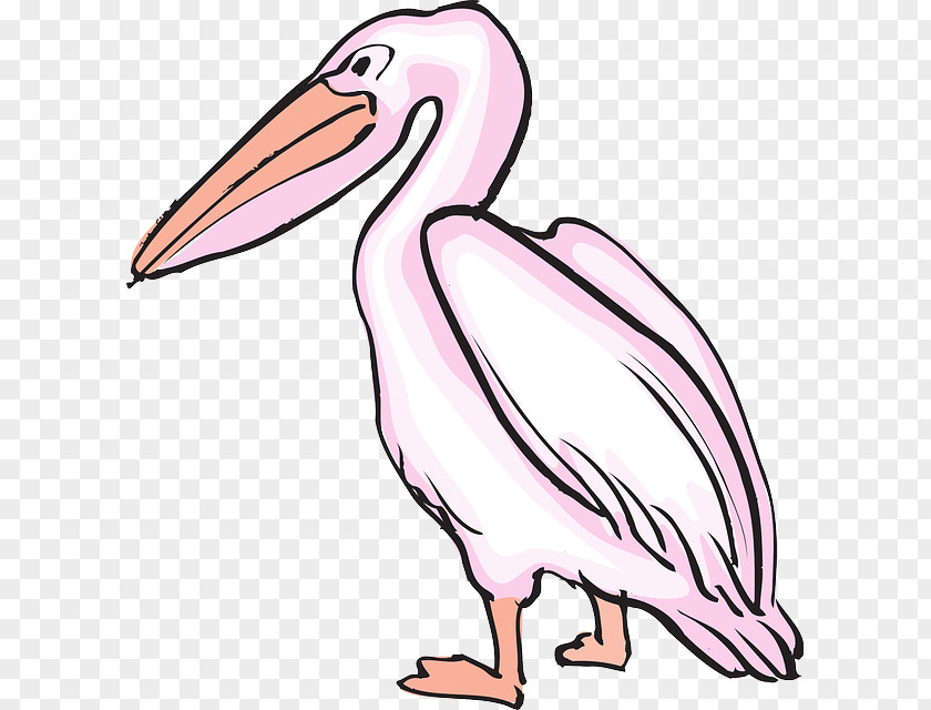 Pink Bird Pelican Drawing Clip Art PNG