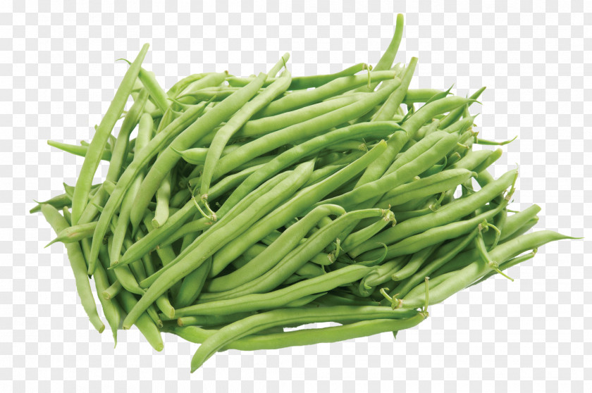 Common Bean Vegetable Green Plant Food Grass PNG