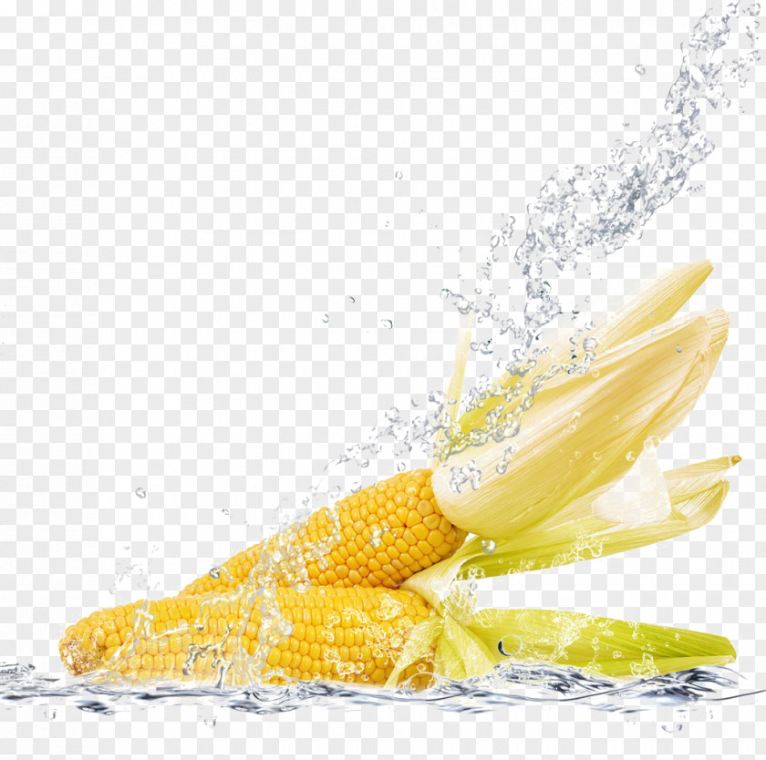 Corn And Water Tea On The Cob Vegetable Broccoli Maize PNG