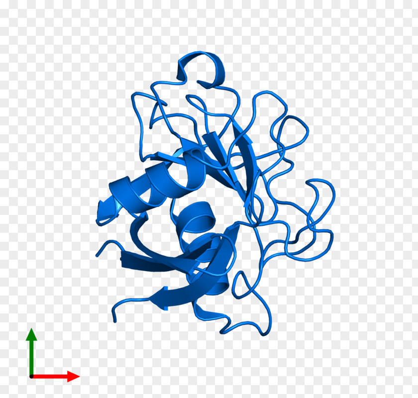 Peptidyl Transferase Line Art Graphic Design Clip PNG