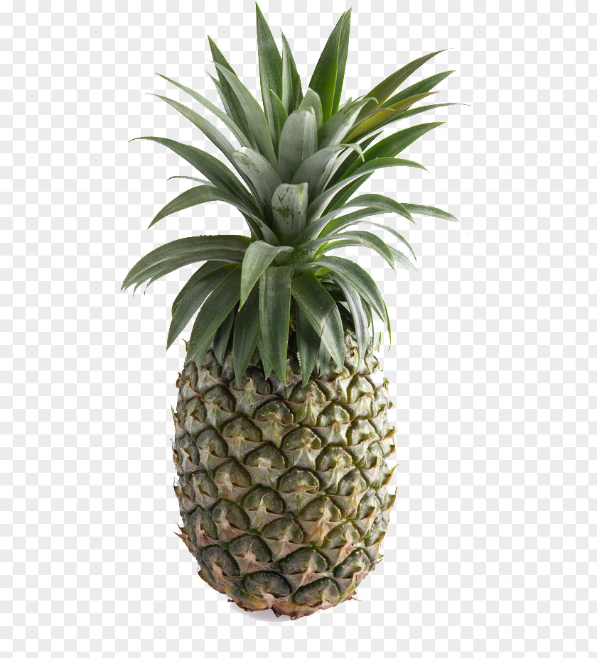 Pineapple Fruit Food PNG