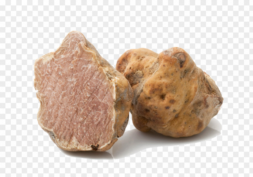 Stone Alba Langhe Acqualagna San Miniato Piedmont White Truffle PNG