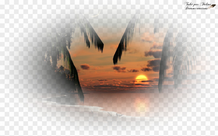 Sunset Dreams Ting Tang Tales Desktop Wallpaper Stock Photography Paperback PNG