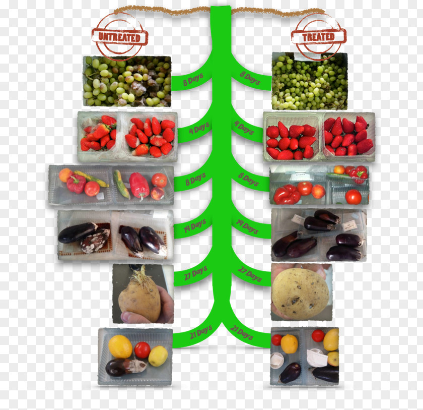 Vegetable Fruit Natural Foods Organic Food PNG