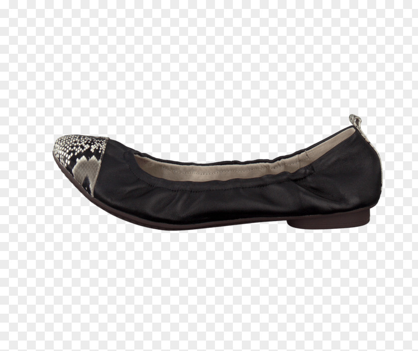 Ballet Flat Shoe Leather PNG