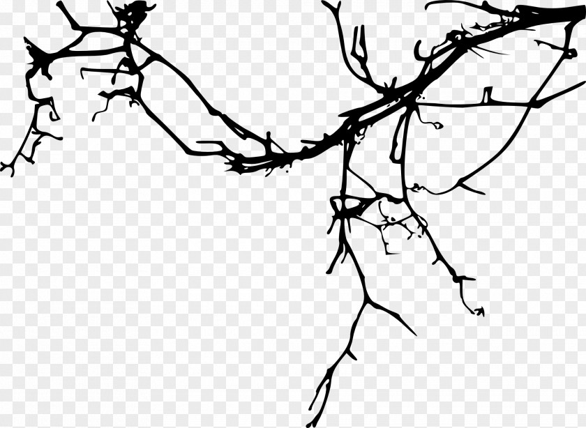 Branch Tree Silhouette Drawing PNG