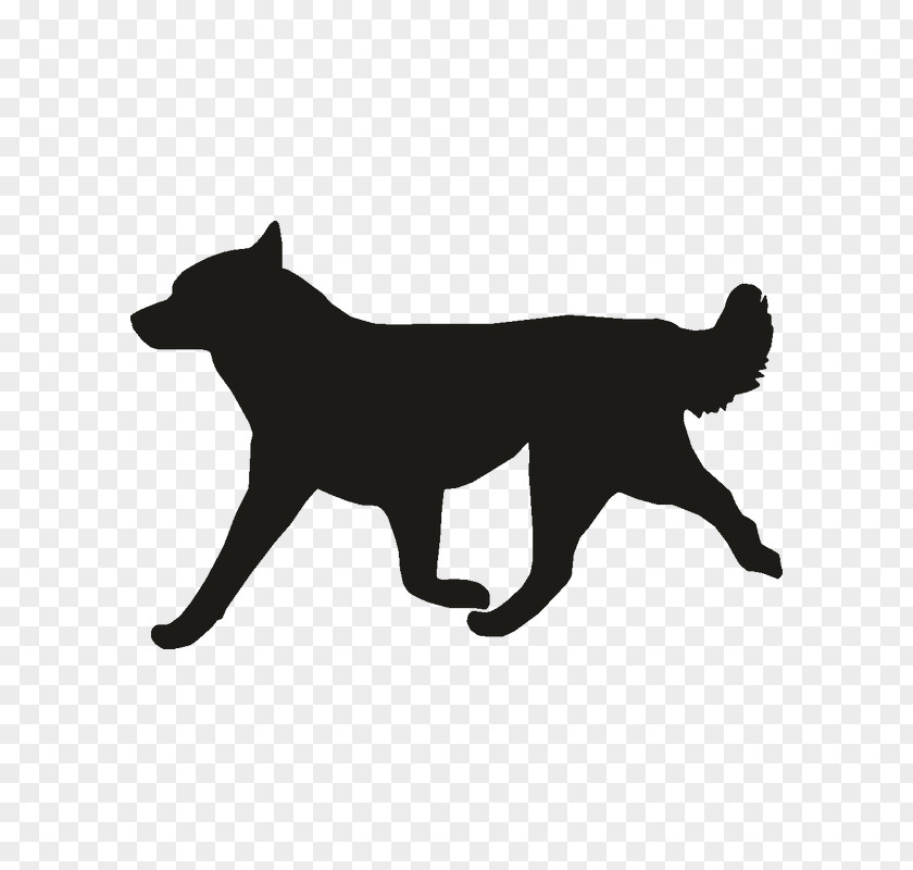 Cat Whiskers Dog Breed Red Fox PNG