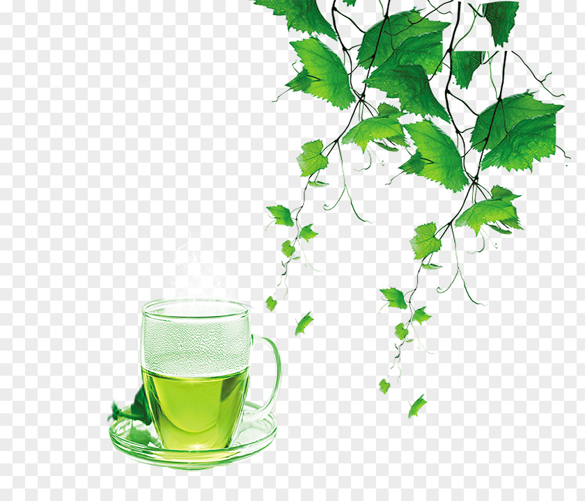 Fresh Green Tea Puer PNG