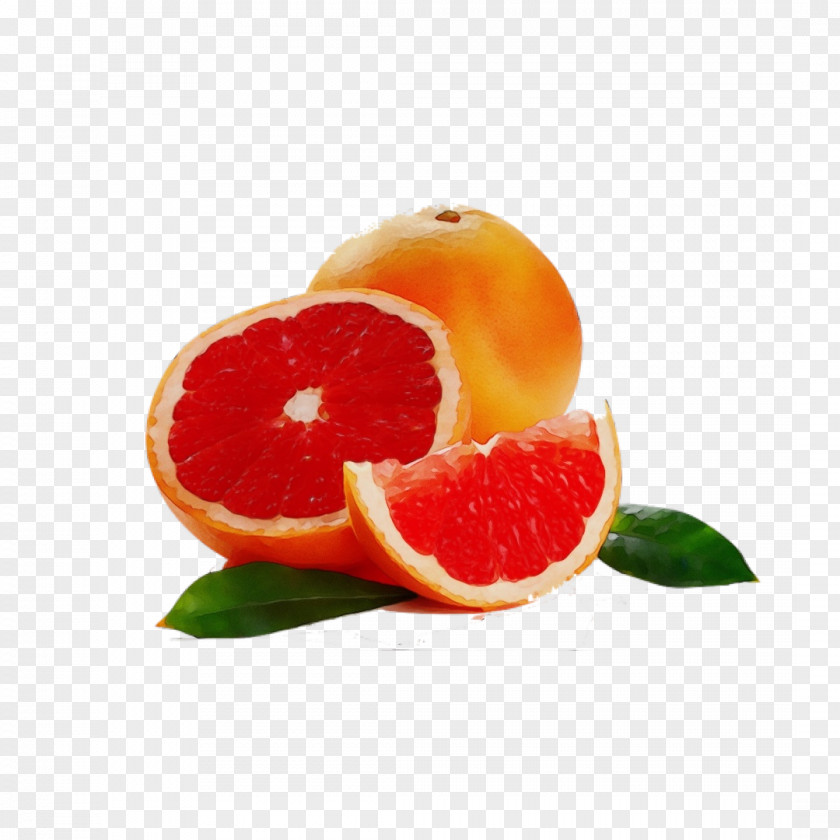 Mandarin Orange Plant Citrus Fruit Grapefruit Food Tangerine PNG
