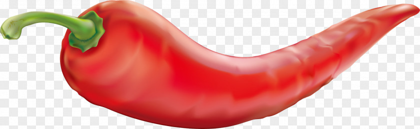 Red Pepper Serrano Cayenne Tabasco Bell Malagueta PNG