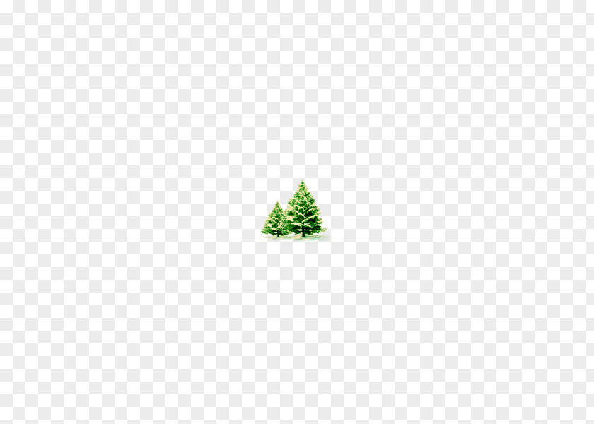 Snow Pine Green Pattern PNG