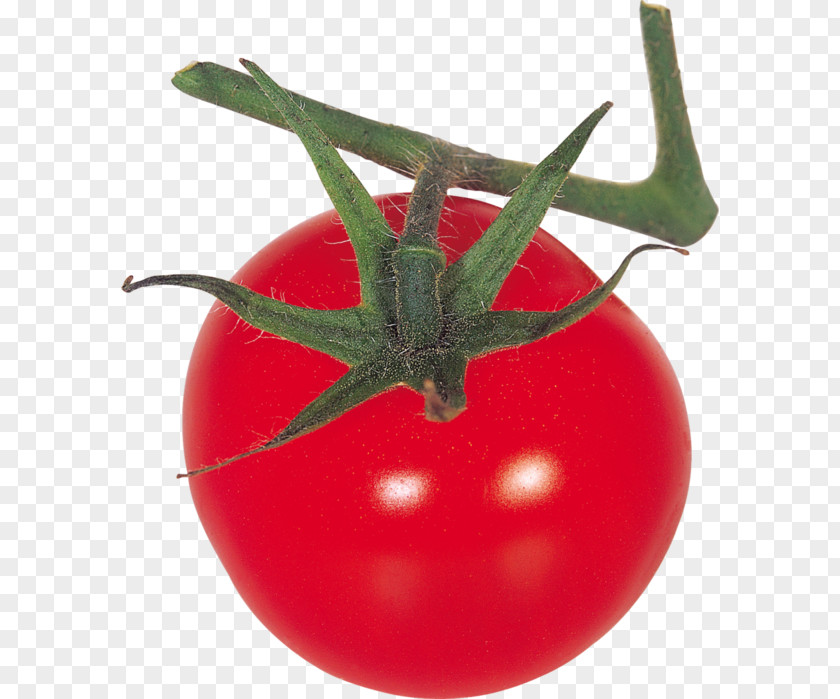 Tomato PhotoScape Clip Art PNG