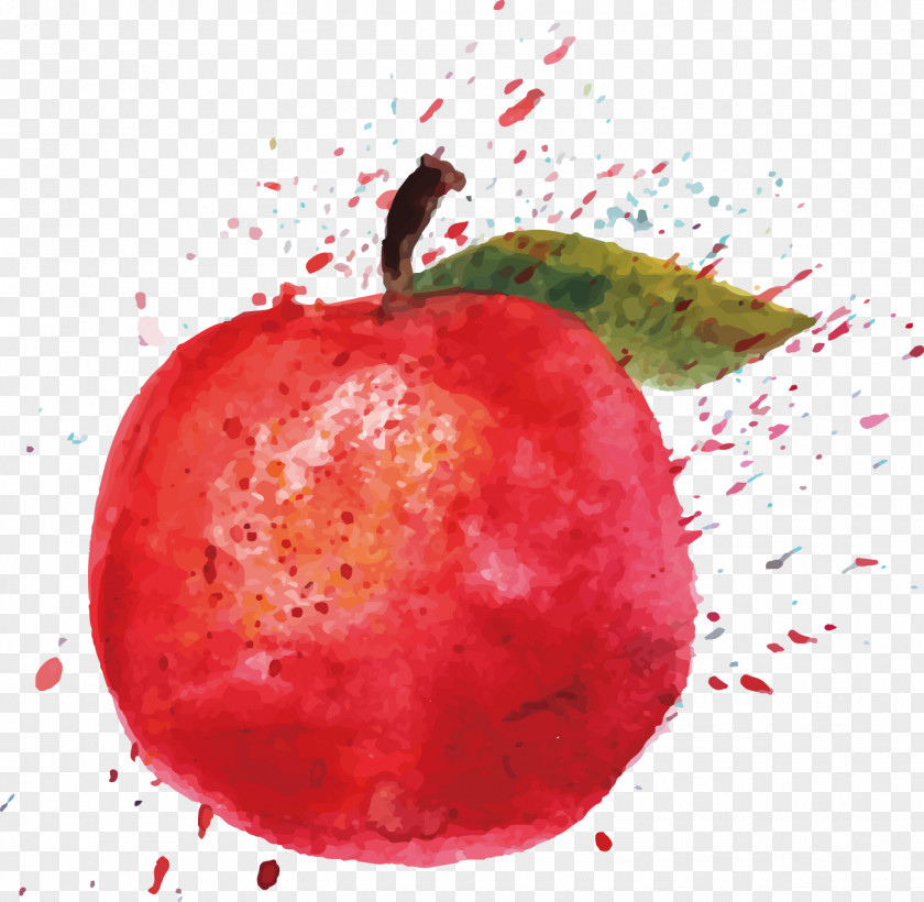 Apple Watercolor Painting Cartoon Illustration PNG