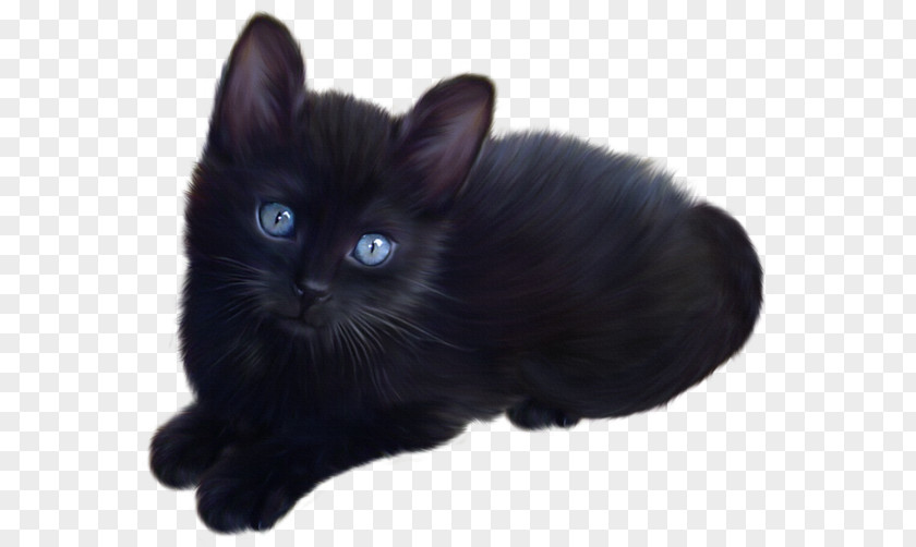 Black Cat Attack Kitten Maine Coon Clip Art PNG