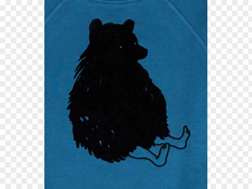 Cat Schipperke Black Cobalt Blue Whiskers PNG