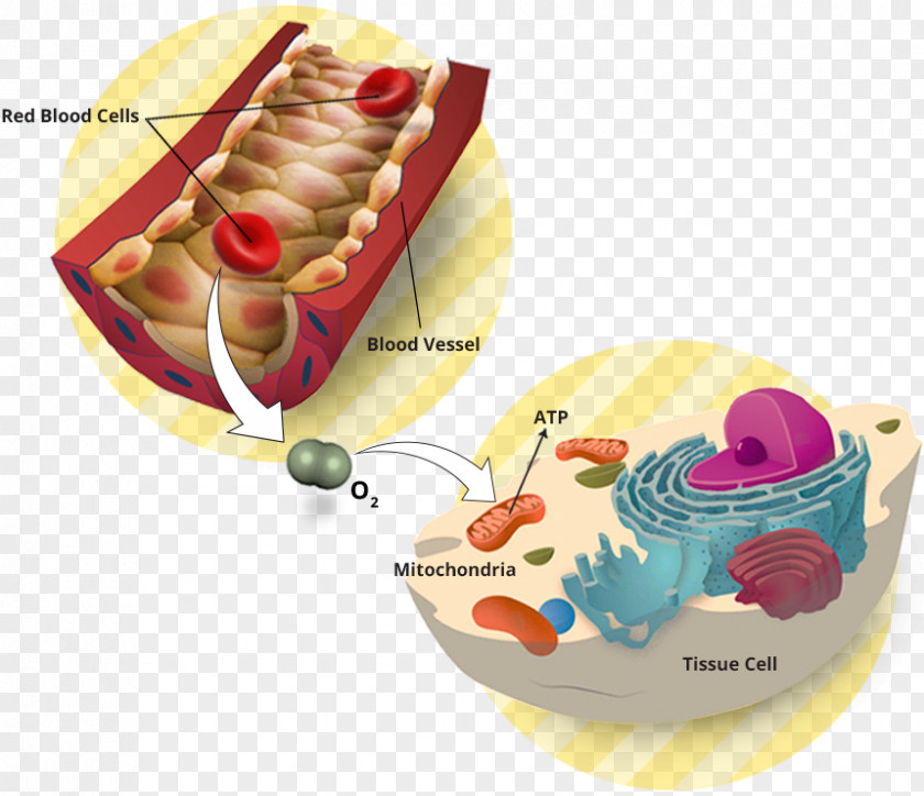 Design Oxygen Therapy Pharmaceutical Drug PNG